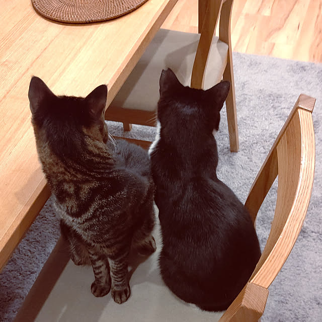 hihaさんの実例写真
