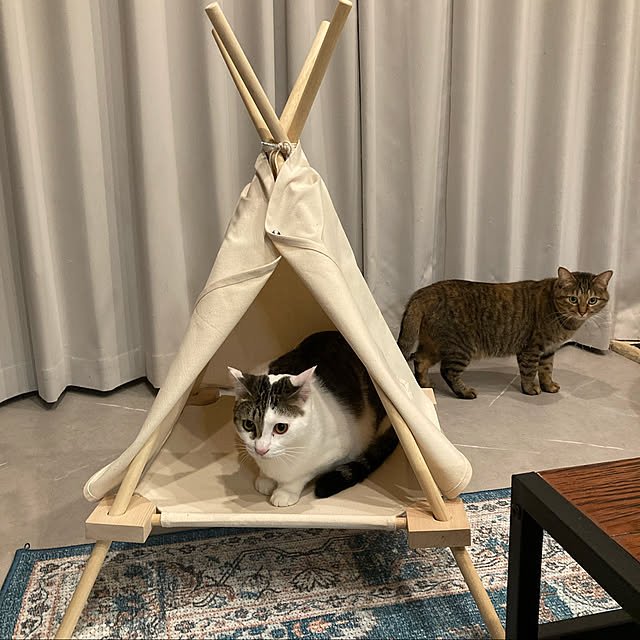 tokotokoさんの実例写真
