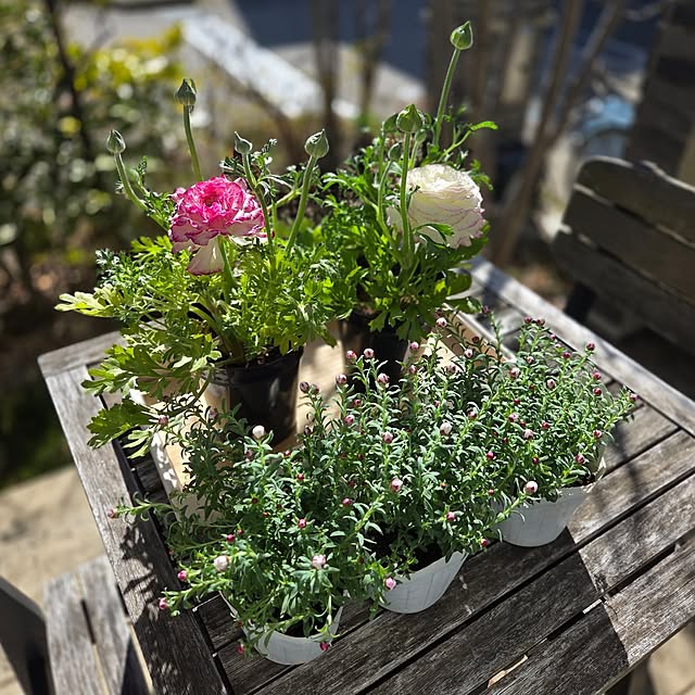 MARIE.color.interiorさんの実例写真