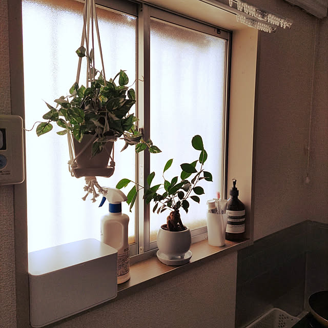 topazさんの実例写真