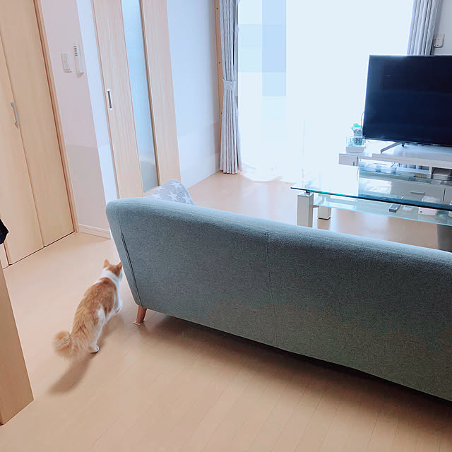 モニター応募投稿/リビングのインテリア実例 - 2020-09-19 13:08:03
