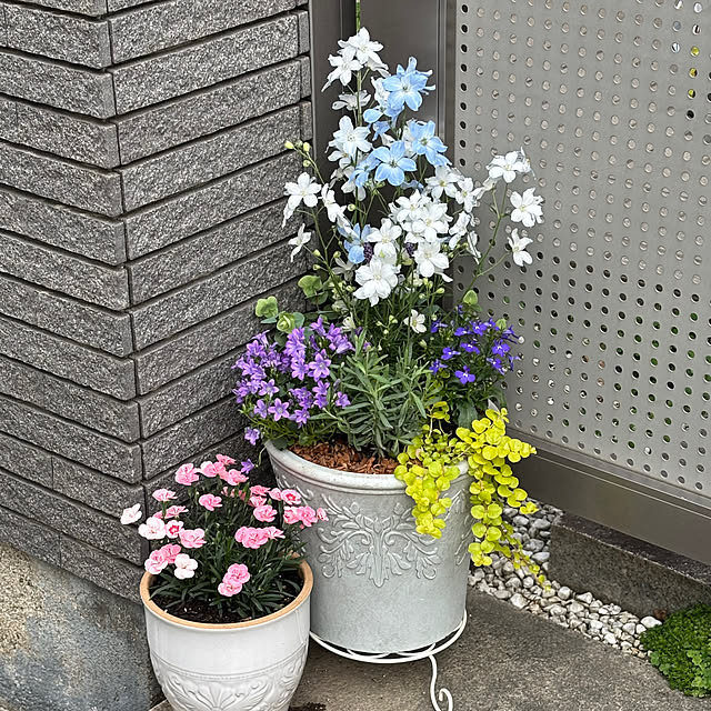 maayaさんの部屋