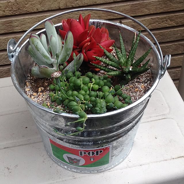 Yosukeさんの実例写真