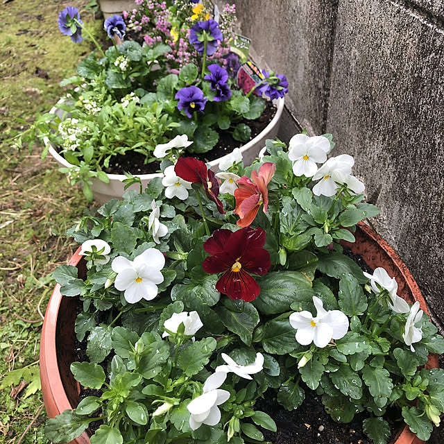 fumikoiさんの実例写真