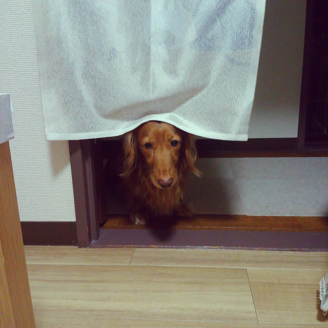 tora.maさんの実例写真
