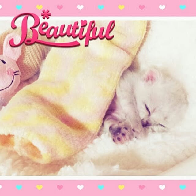 hiroko5410さんの実例写真