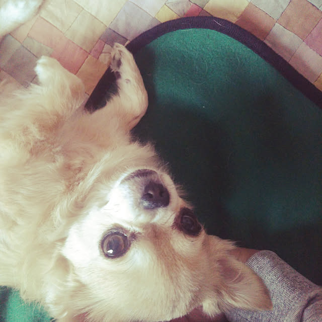 kiraさんの実例写真