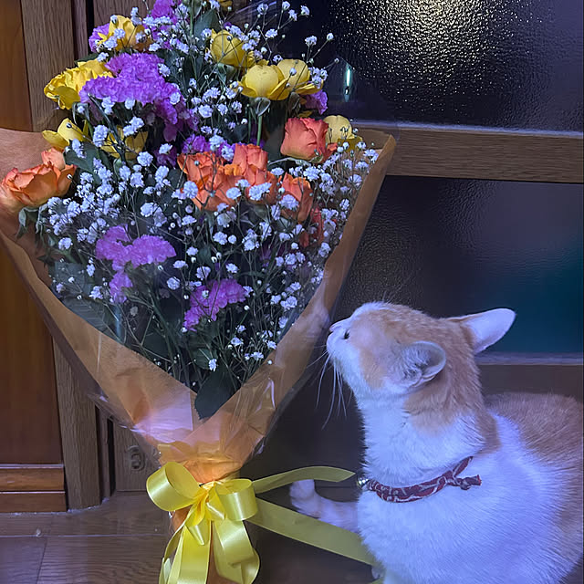 momo1120soraさんの部屋
