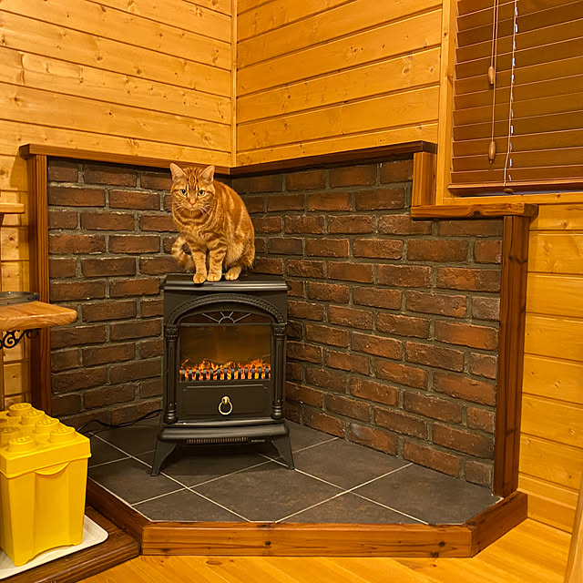 Let-s-DoDoDoさんの実例写真