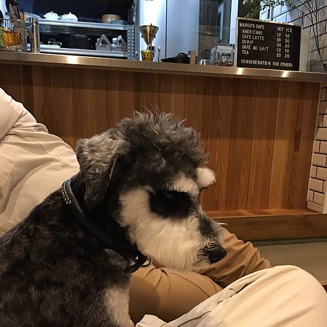 margoandcoさんの実例写真