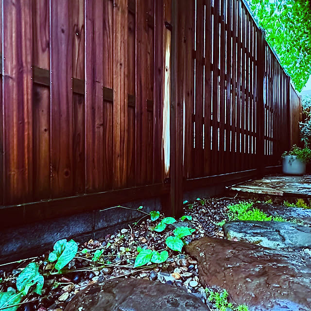 chacoさんの部屋