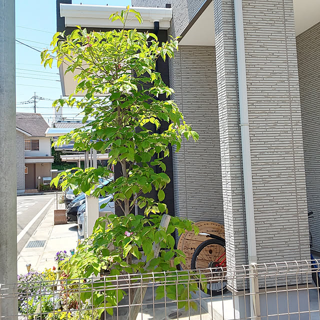 uki-uki77さんの実例写真