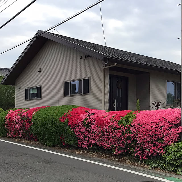 houenさんの部屋