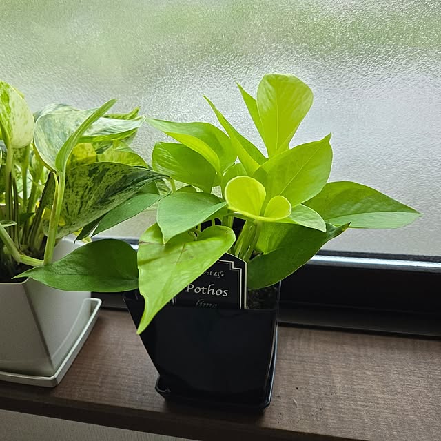 min_nimさんの部屋