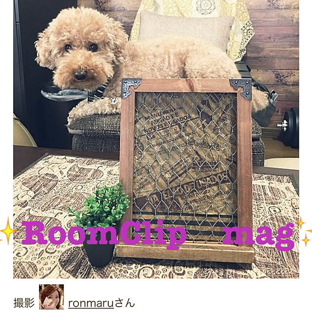 ronmaruさんの実例写真
