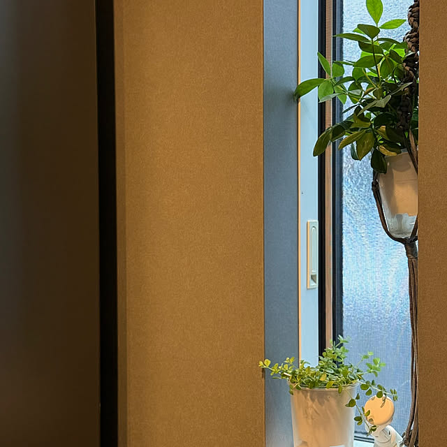 sakiさんの部屋