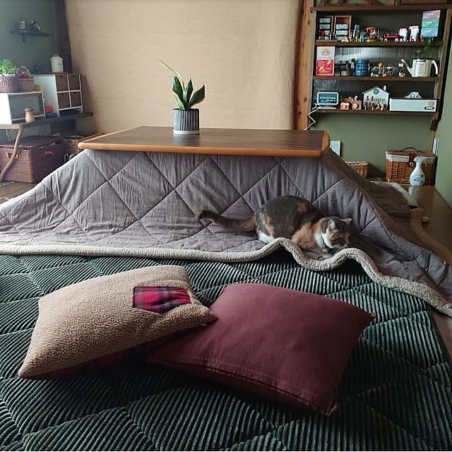 fukuさんの部屋