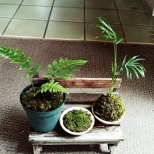 mitsuさんの実例写真