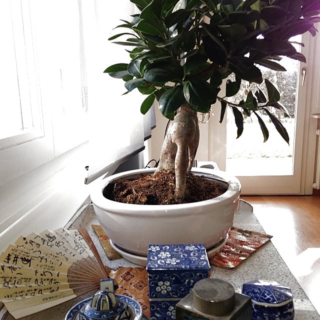 Juliaさんの実例写真