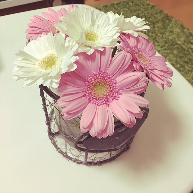 risaさんの実例写真