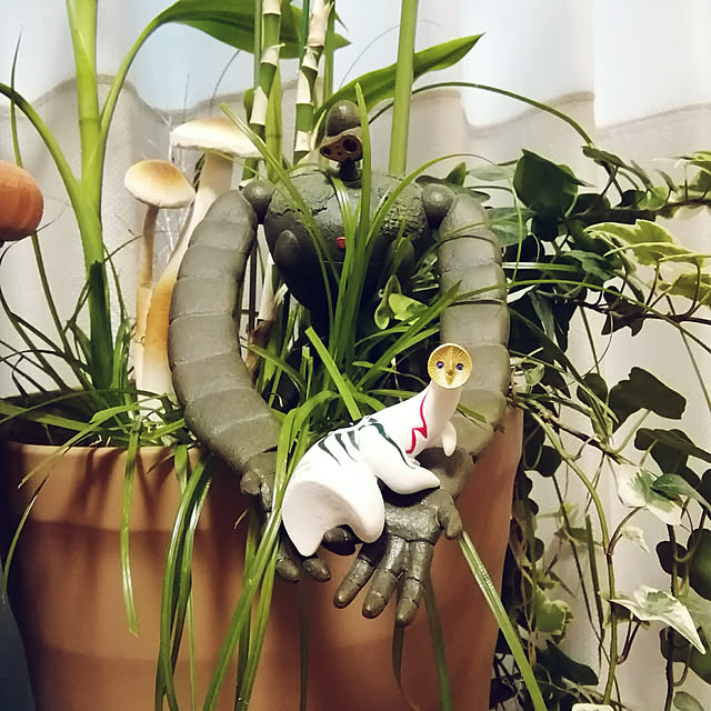 naive.coccoさんの実例写真
