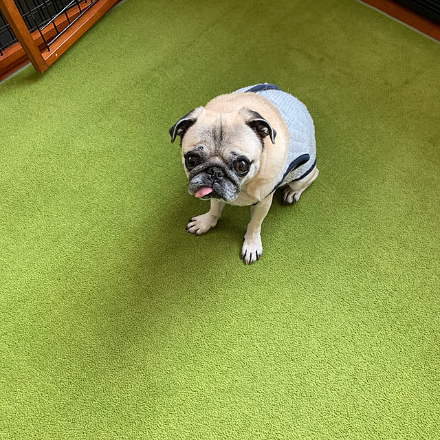 kellyさんの実例写真