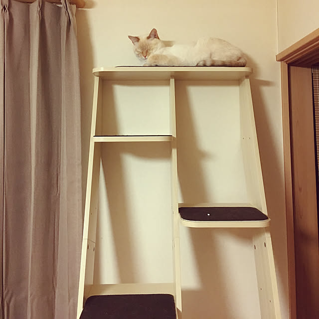 junbuさんの実例写真