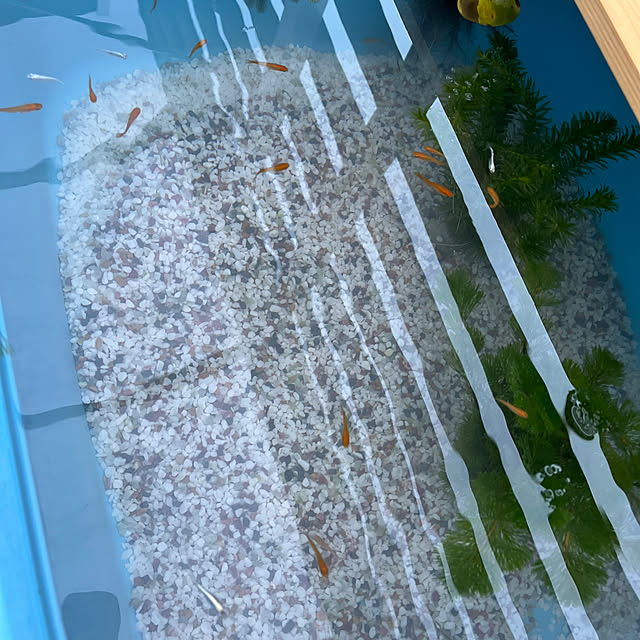 zabonzabonさんの部屋