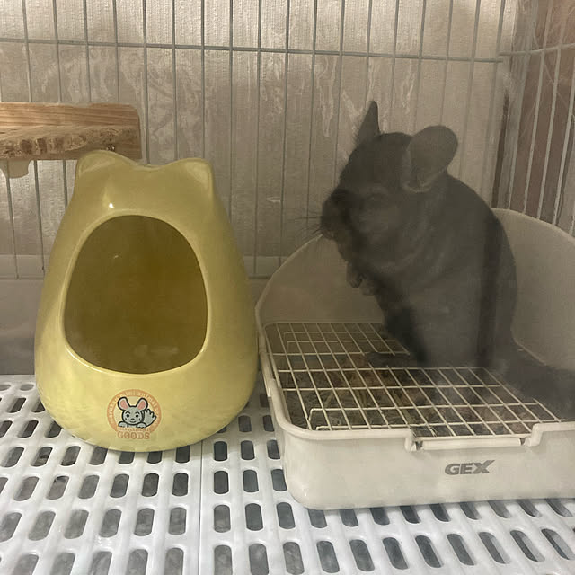 milkさんの実例写真