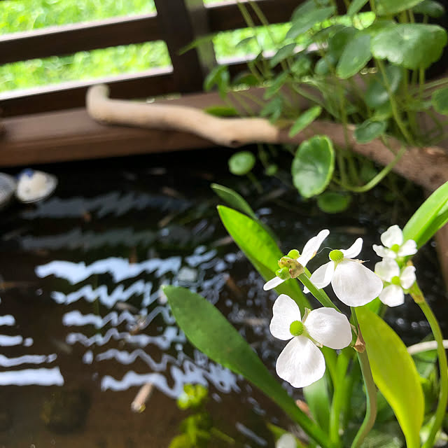 kyoko1124koさんの実例写真