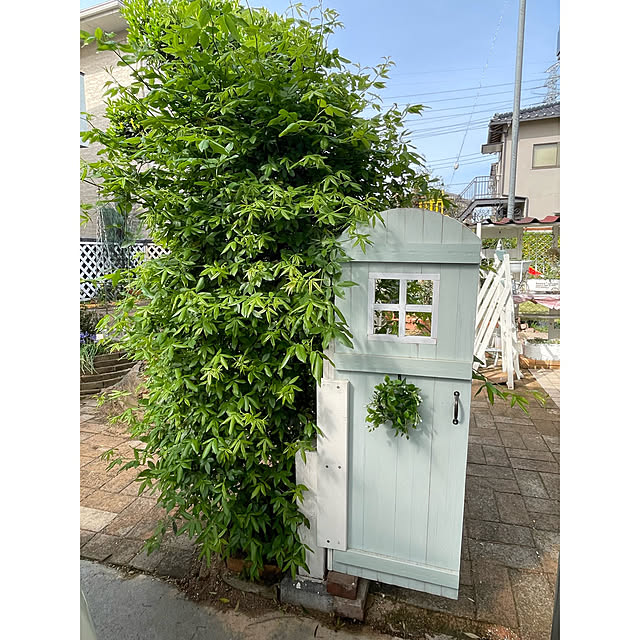 momocchiさんの部屋