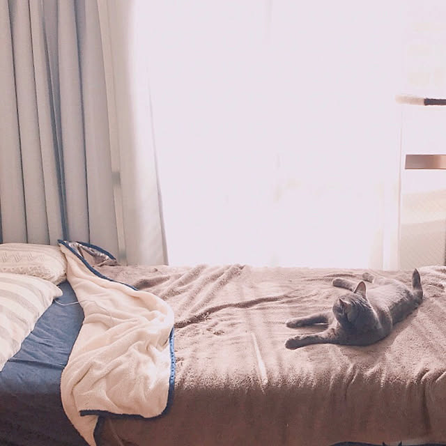 hiさんの実例写真