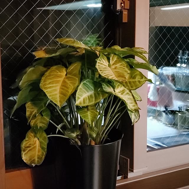 muku+maroさんの部屋