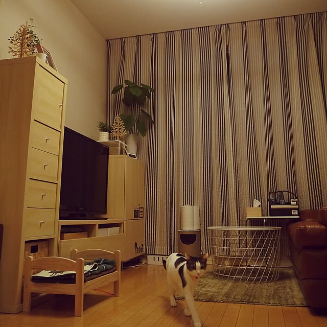 yossyさんの実例写真