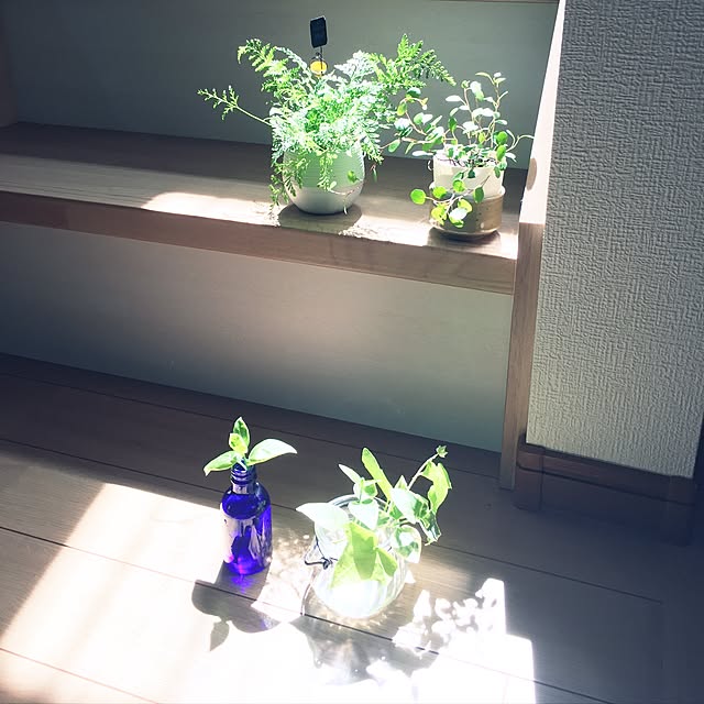 satoさんの実例写真