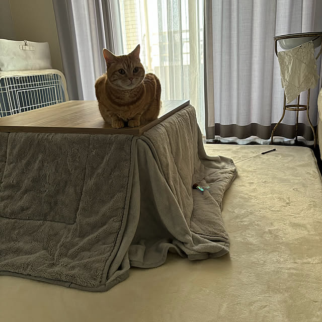 Atelier.mさんの実例写真