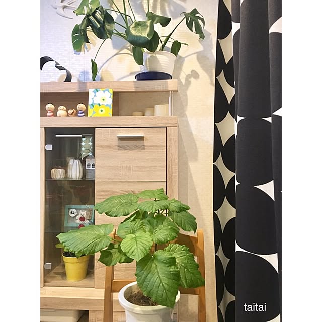 taitaiさんの実例写真
