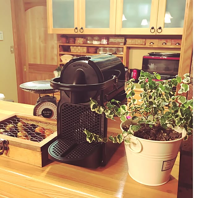 Nespresso(ネスプレッソ) ネスプレッソ カプセル式コーヒー Nespresso(ネスプレッソ) ネスプレッソ カプセル式コーヒー