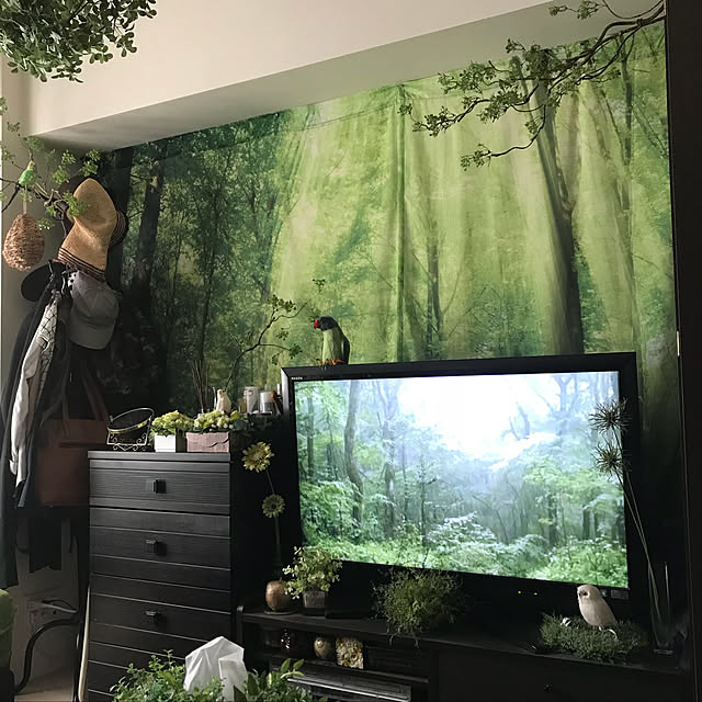 reiさんの実例写真