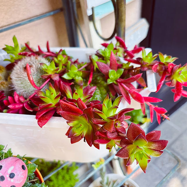 takakoさんの実例写真
