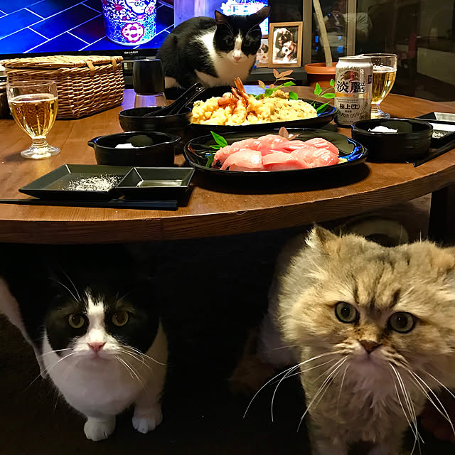 butachanさんの実例写真