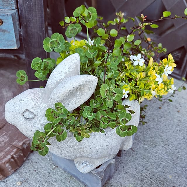 mocomocoさんの部屋