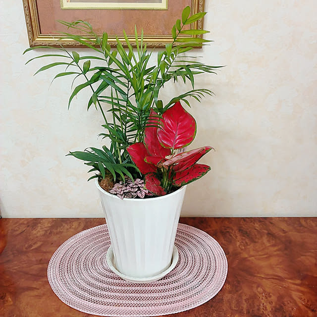 mukkuさんの部屋