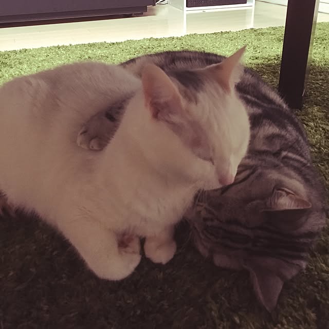 hiro_mashさんの実例写真