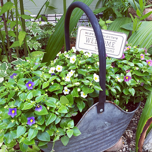 min_nimさんの実例写真