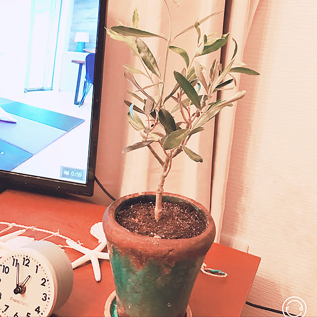 araさんの実例写真