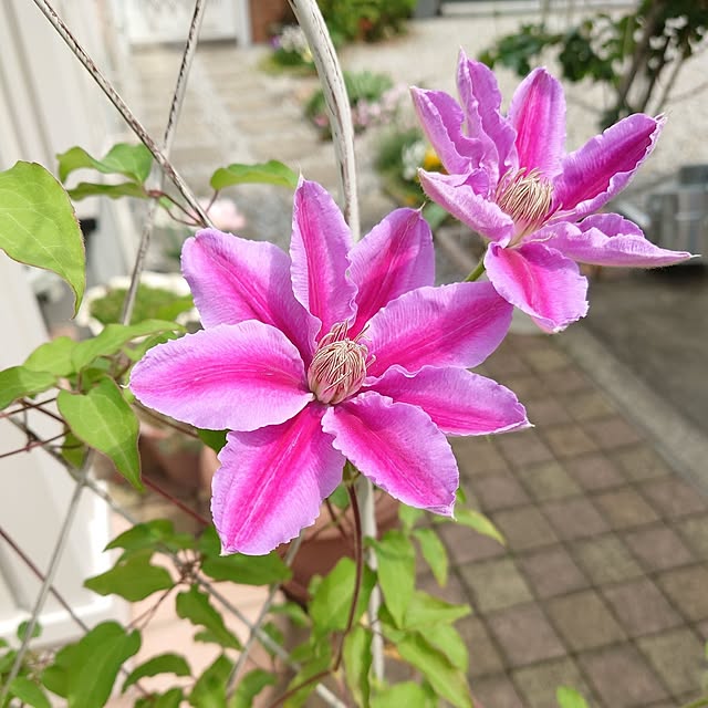 fleur-mamanさんの実例写真