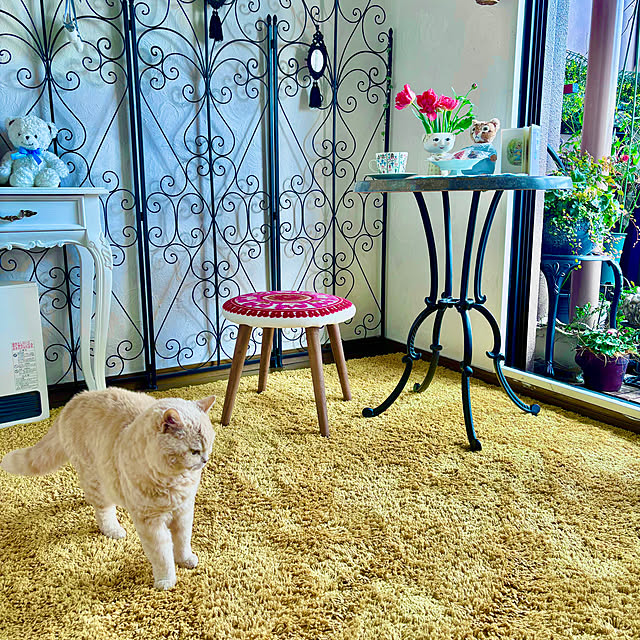 naokoさんの部屋