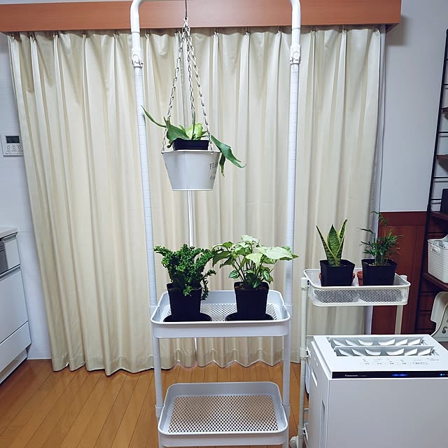 nachiさんの実例写真