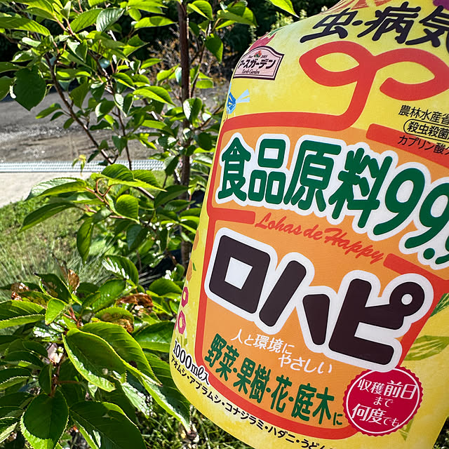 Shiguさんの部屋
